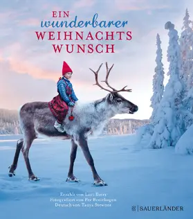 Evert / Breiehagen / Stewner |  Ein wunderbarer Weihnachtswunsch. Miniausgabe | Buch |  Sack Fachmedien