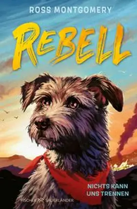 Montgomery |  Rebell | Buch |  Sack Fachmedien