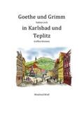 Wolf |  Goethe und Grimm hätten sich in Karlsbad und Teplitz treffen können | Buch |  Sack Fachmedien