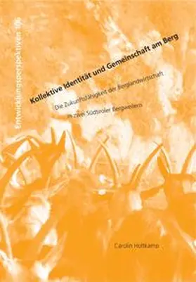 Holtkamp |  Kollektive Identität und Gemeinschaft am Berg | Buch |  Sack Fachmedien