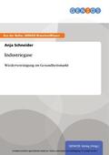 Schneider |  Industriegase | eBook | Sack Fachmedien
