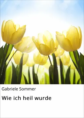 Sommer |  Wie ich heil wurde | eBook | Sack Fachmedien