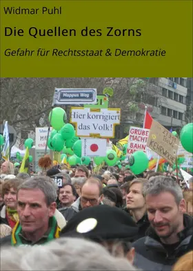 Puhl |  Die Quellen des Zorns | eBook | Sack Fachmedien