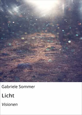 Sommer |  Licht | eBook | Sack Fachmedien