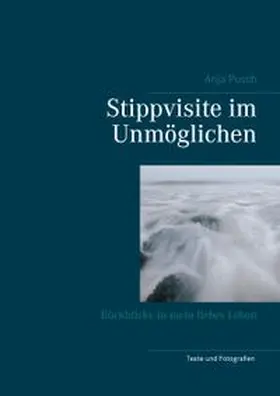 Pusch |  Stippvisite im Unmöglichen | Buch |  Sack Fachmedien
