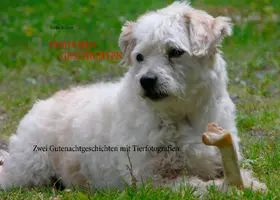 Richter |  "Pfötchen-Geschichten" | eBook | Sack Fachmedien