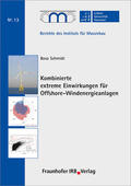 Schmidt / Marx / Leibniz Universität Hannover, Institut für Massivbau |  Kombinierte extreme Einwirkungen für Offshore-Windenergieanlagen | Buch |  Sack Fachmedien