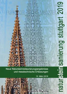 Patitz / Grassegger / Schinken | Natursteinsanierung Stuttgart 2019 | E-Book | sack.de
