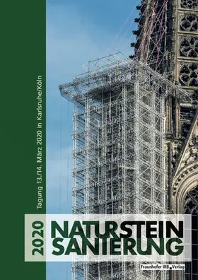 Patitz / Schinken | Natursteinsanierung 2020 | E-Book | www.sack.de