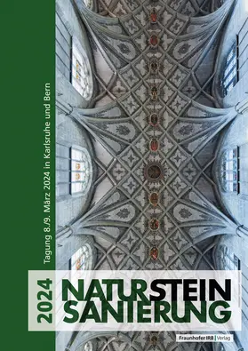 Patitz / Schinken |  Natursteinsanierung 2024 | Buch |  Sack Fachmedien