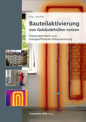Biek |  Bauteilaktivierung - Gebäudehüllen nutzen | Buch |  Sack Fachmedien
