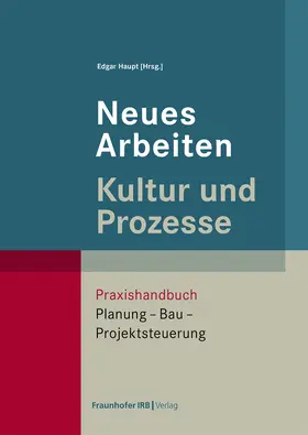 Haupt |  Neues Arbeiten - Kultur und Prozesse | Buch |  Sack Fachmedien