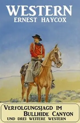 Haycox |  Verfolgungsjagd im Bullhide Canyon und drei weitere Western | eBook | Sack Fachmedien