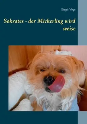 Vogt |  Sokrates - der Mickerling wird weise | Buch |  Sack Fachmedien