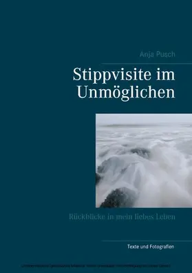 Pusch |  Stippvisite im Unmöglichen | eBook | Sack Fachmedien