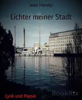 Harvey |  Lichter meiner Stadt | eBook | Sack Fachmedien