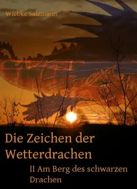 Salzmann |  Die Zeichen der Wetterdrachen | eBook | Sack Fachmedien