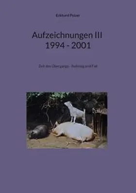 Polzer |  Aufzeichnungen III; 1994 - 2001 | Buch |  Sack Fachmedien