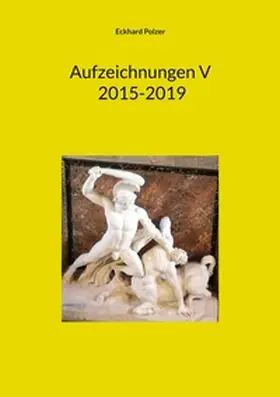 Polzer |  Aufzeichnungen V; 2015-2019 | Buch |  Sack Fachmedien