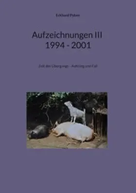 Polzer |  Aufzeichnungen III; 1994 - 2001 | eBook | Sack Fachmedien