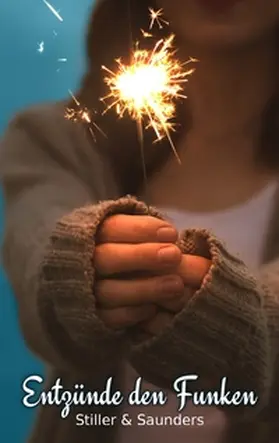 Saunders / Stiller |  Entzünde den Funken | Buch |  Sack Fachmedien
