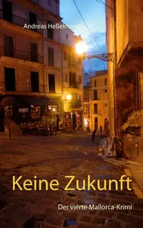 Heßelmann |  Keine Zukunft | Buch |  Sack Fachmedien