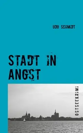 Schmidt |  Stadt in Angst | Buch |  Sack Fachmedien