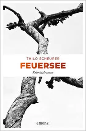 Scheurer |  Feuersee | Buch |  Sack Fachmedien