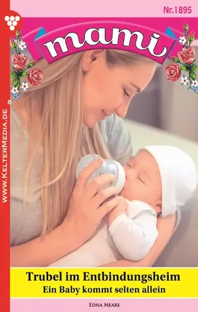 Meare |  Trubel im Entbindungsheim | eBook | Sack Fachmedien