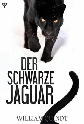 Quindt |  Der schwarze Jaguar | eBook | Sack Fachmedien