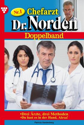Vandenberg |  Chefarzt Dr. Norden | eBook | Sack Fachmedien
