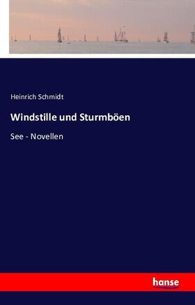 Schmidt |  Windstille und Sturmböen | Buch |  Sack Fachmedien