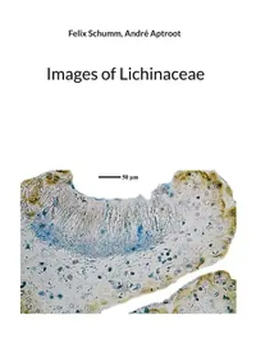 Schumm / Aptroot |  Images of Lichinaceae | Buch |  Sack Fachmedien