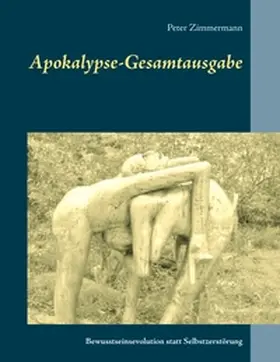 Zimmermann | Apokalypse-Gesamtausgabe | Buch | 978-3-7412-6340-8 | www.sack.de