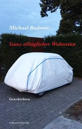 Bodmer |  Ganz alltäglicher Wahnsinn | Buch |  Sack Fachmedien