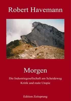 Havemann / Ferst |  Morgen | Buch |  Sack Fachmedien