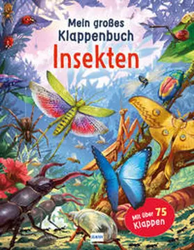 Green |  Mein großes Klappenbuch - Insekten | Buch |  Sack Fachmedien