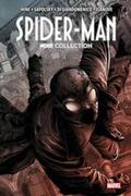 Hine / Sapolsky / Stern |  Spider-Man: Noir Collection | Buch |  Sack Fachmedien