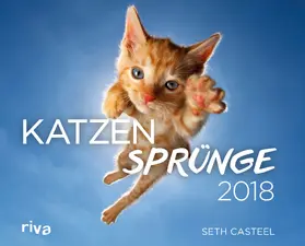 Casteel |  Katzensprünge 2018 | Sonstiges |  Sack Fachmedien