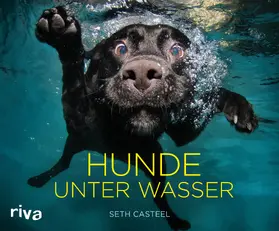 Casteel | Hunde unter Wasser | Buch | 978-3-7423-1174-0 | sack.de