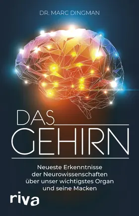Dingman |  Das Gehirn | Buch |  Sack Fachmedien