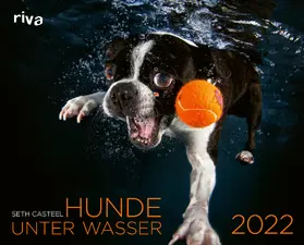 Casteel |  Hunde unter Wasser 2022 | Sonstiges |  Sack Fachmedien