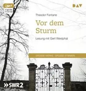 Fontane |  Vor dem Sturm | Sonstiges |  Sack Fachmedien
