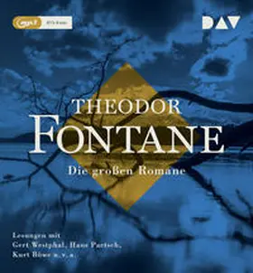 Fontane |  Die großen Romane | Sonstiges |  Sack Fachmedien