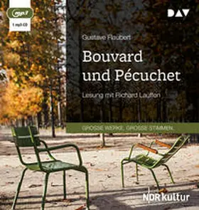 Flaubert |  Bouvard und Pécuchet | Sonstiges |  Sack Fachmedien