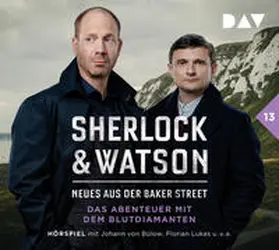 Koppelmann |  Sherlock & Watson – Neues aus der Baker Street: Das Abenteuer mit dem Blutdiamanten (Fall 13) | Sonstiges |  Sack Fachmedien