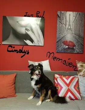 Paul |  Cindys Memoiren | eBook | Sack Fachmedien