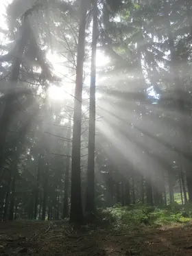 Ertmer |  Und sag nicht, dass die Sonne scheint | eBook | Sack Fachmedien