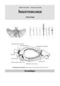 Schmidt |  Insektenkunde | eBook | Sack Fachmedien