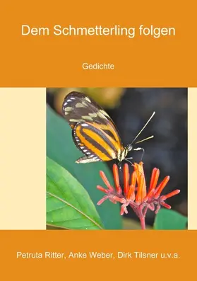 Weber / Tilsner / Ritter |  Dem Schmetterling folgen | eBook | Sack Fachmedien